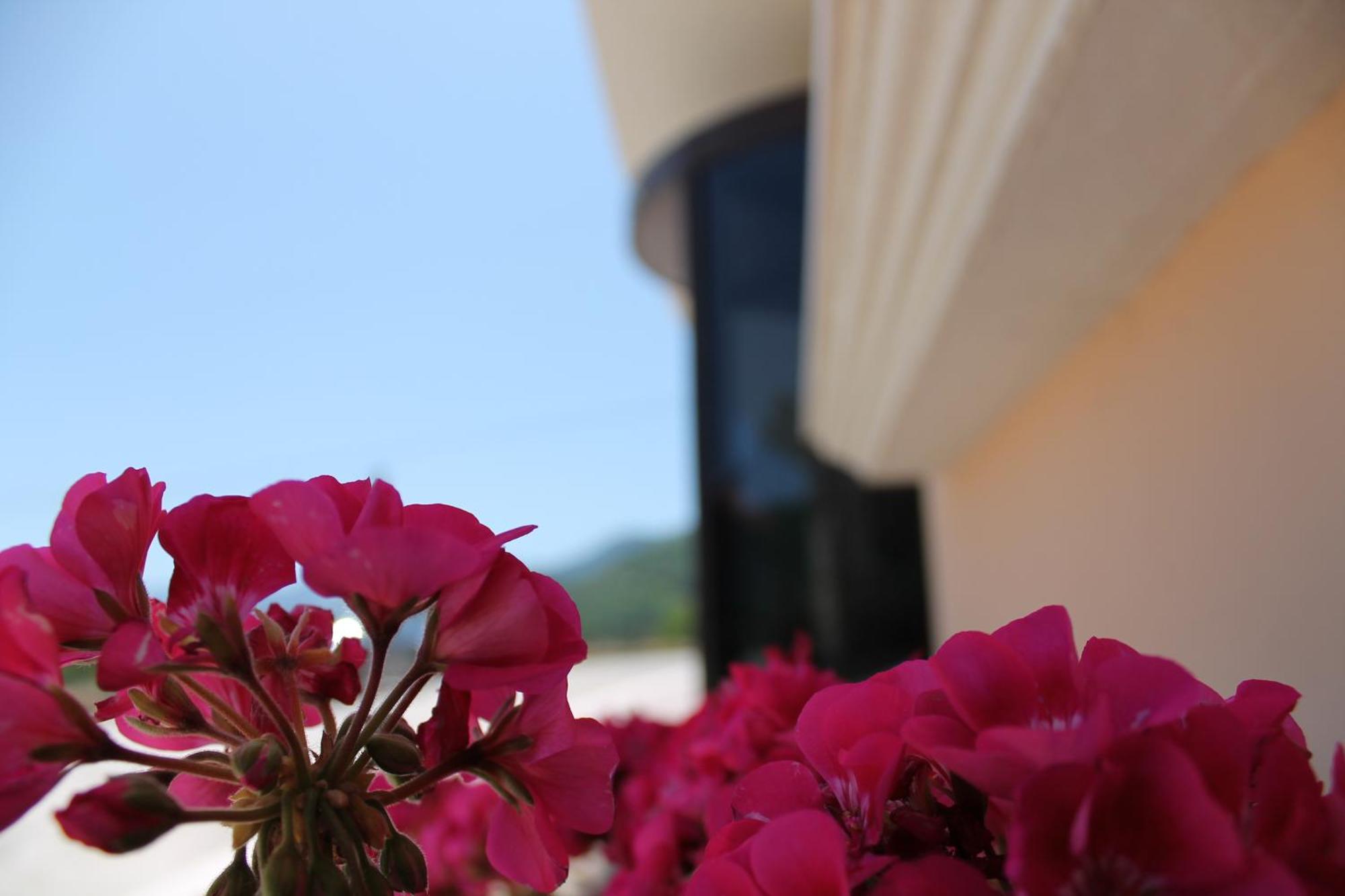 Hotel Hermitage Polla Zewnętrze zdjęcie